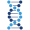 Human Growth Hormone